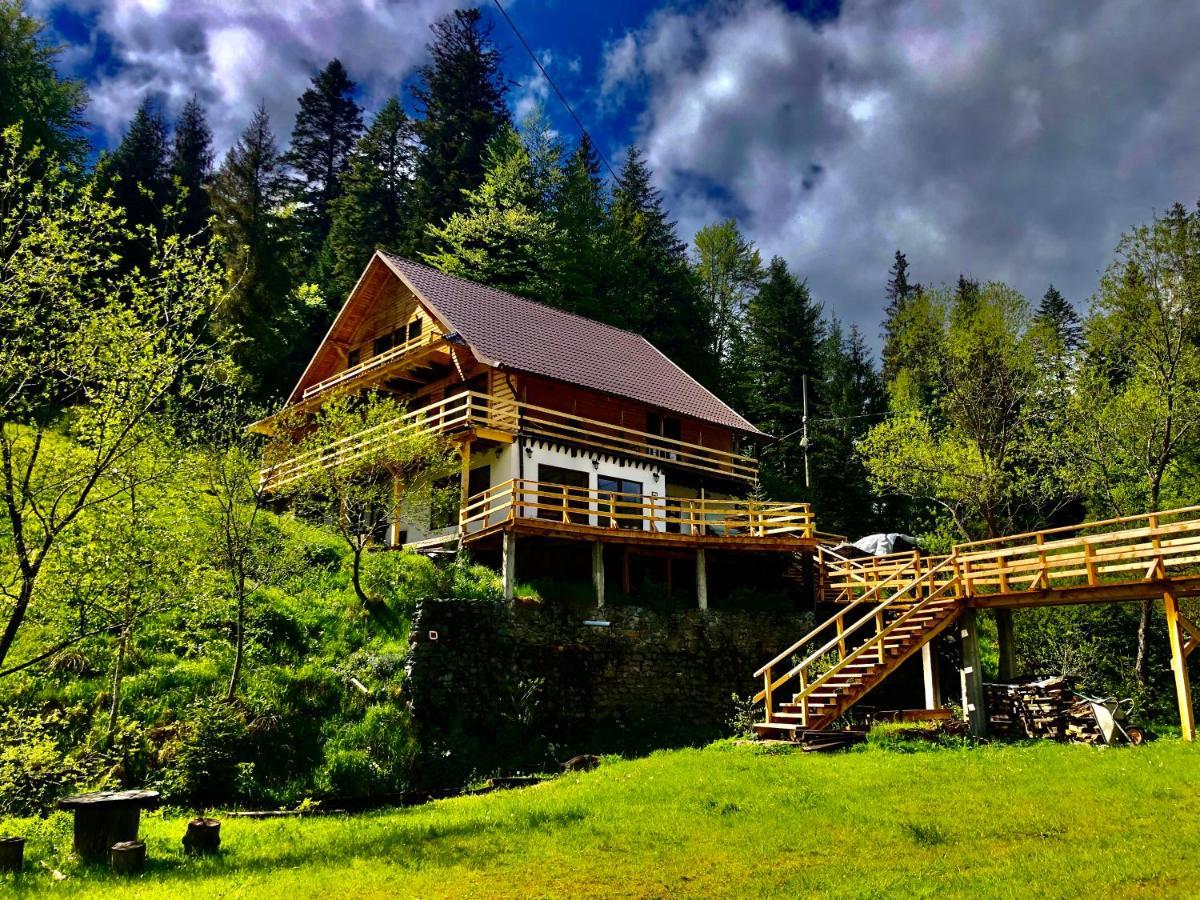 Cabana Cota 1000 Арієшень Екстер'єр фото
